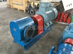 BW保温沥青齿轮（lún）泵工厂 (10)