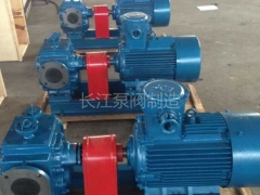BW型保温沥青齿轮泵 (7)