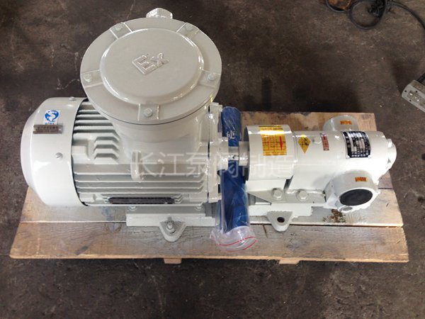 BW保溫瀝青齒（chǐ）輪泵樣本(12)