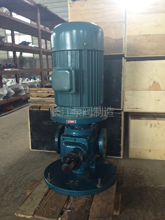 LYB型立式圓弧齒輪泵供應 (1)