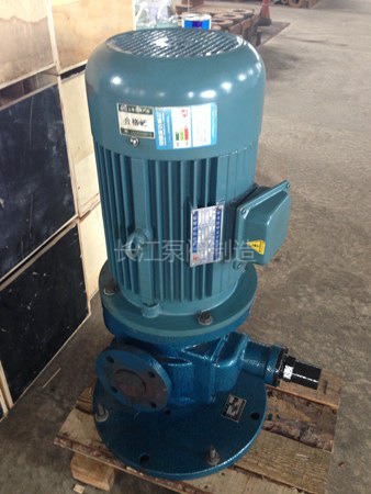 LYB型立式圓弧齒輪泵廠家 (2)