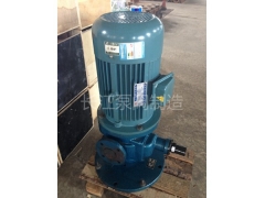 LYB型立（lì）式圓弧（hú）齒輪泵廠家 (2)