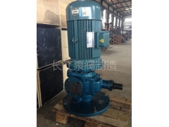 LYB型（xíng）立（lì）式圓弧齒輪泵型號參數（shù） (3)