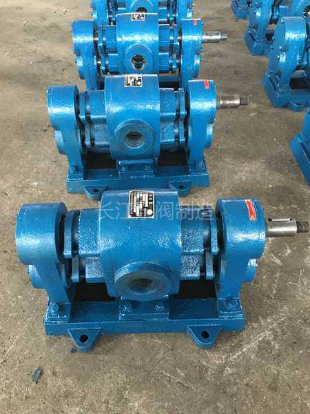 WCB外潤（rùn）滑齒輪泵廠家 (2)