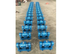 WCB外（wài）潤滑齒輪泵 (1)