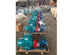 YCB圓弧齒輪泵（bèng）型號（hào）(13)