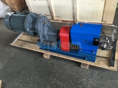 河北某食品廠食品計量用泵RP轉子泵