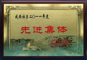 麻豆短视频传媒网站榮譽：先進集體（tǐ）