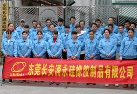 麻豆短视频传媒网站團隊