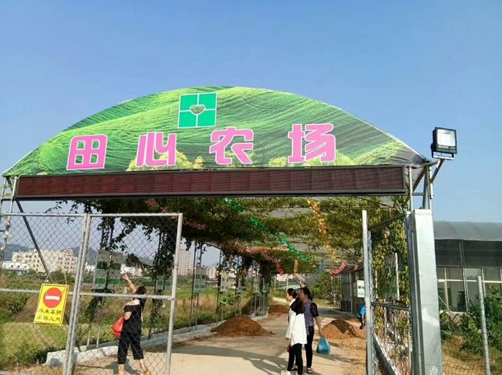 田心（xīn）農場