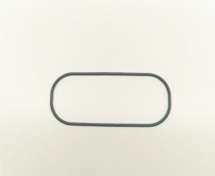 氟橡膠密封圈（quān）2