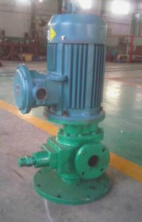 一台LYB式立式齒輪油(yóu)泵