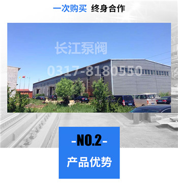 泊頭九一视频齒輪(lún)油泵一次購買終身合作