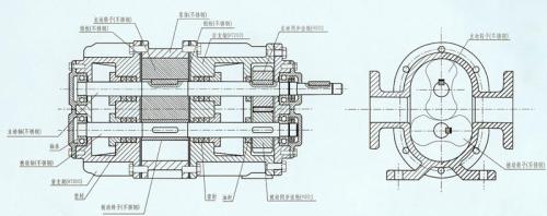 一張LC羅茨泵的結構說（shuō）明圖紙
