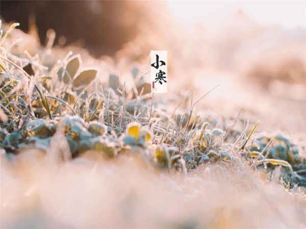 讓（ràng）91视频网站一起迎接2023年第一個（gè）節氣—小寒